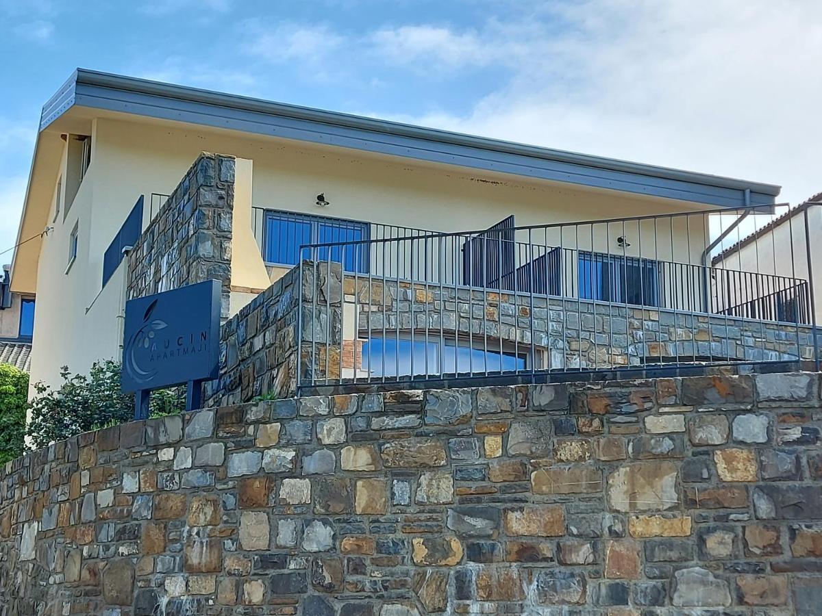 Apartmaji Aucin - Brda Kojsko Exterior foto